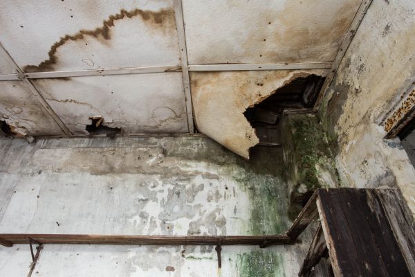 Cost of Water Damage Service in Livonia