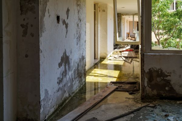 Cost of Water Removal Service in Livonia
