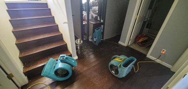 Cost of Water Damage Remediation in Livonia